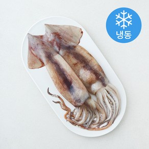 위드프레쉬 손질 통오징어 (냉동), 1개, 320g