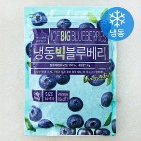 [로켓프레시] 딜라잇가든 미국산 빅 블루베리 (냉동), 1kg, 1개
