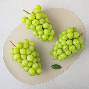 [로켓프레시] 새벽경매 샤인머스켓 3~4수, 2kg, 1박스