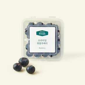 [로켓프레시] 프리미엄 왕블루베리, 100g, 1개
