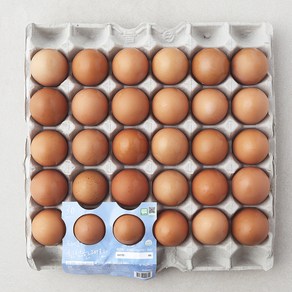 프레그 무항생제 인증 계림농장 신선한 대란, 1560g, 30구, 1개