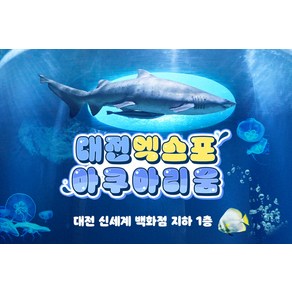 엑스포 아쿠아리움 입장권 (구매 1시간 이후 사용가능), 입장권 소인