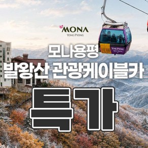 ★골드박스★ 발왕산 관광케이블카 소인