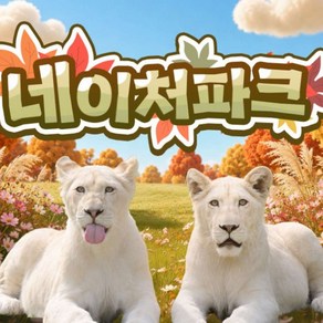 (골드박스) 입장권 1인권