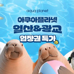 ★[광교] 1인 입장권
