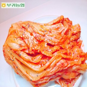 한국농협김치 부귀농협 마이산김치 묵은지 2kg, 3kg, 5kg, 10kg 국내산재료100%청정진안고랭지배추