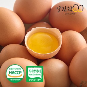 알참참 무항생제 대란 신선한 계란 달걀 HACCP 맛있는, 1개, 30구
