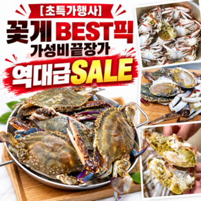 [초특가행사] 꽃게 BEST픽 가성비끝장가 역대급SALE, 1kg(kg당 4~6미), 1개