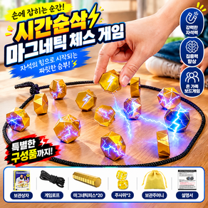 하이하 시간순삭 마그네틱 체스 온가족 보드 게임, 1박스