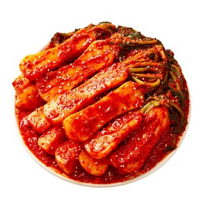 맛장군 오늘담근 총각김치, 3kg, 1개