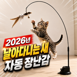 펠코스 고양이 장난감 낚시대 자동, 브라운, 1세트