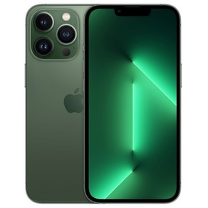 Apple 아이폰 13 Pro 자급제, 알파인그린, 512GB