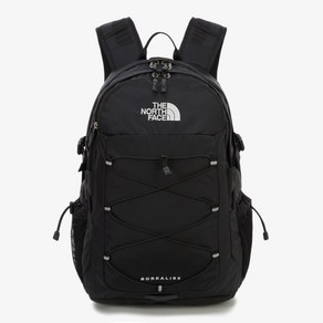 노스페이스 남여공용 보레알리스2 백팩 32리터 데일리 책가방, 보레알리스-32L, 36.5cm, 50cm, 21cm, 블랙, 1개