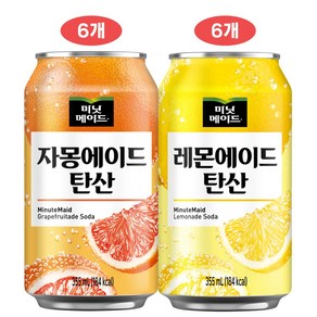 미닛메이드 에이드 뚱캔(자몽+레몬), 12개, 355ml