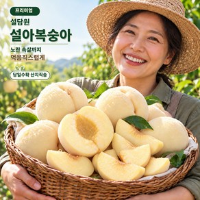 [프리미엄] 설담원 설아복숭아, 500g, 1박스