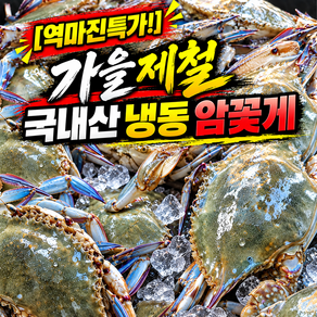 [역마진특가!] 가을제철 국내산 냉동 암꽃게, 1박스, 4kg 16-24마리