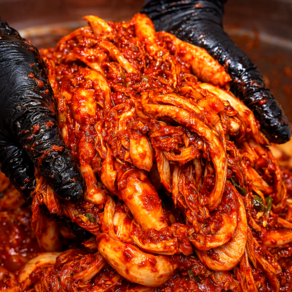 [6시내고향] 칼국수집 실비김치 당일제작 국산배추, 2kg, 1박스