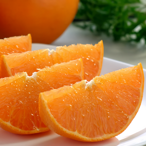 [제주산지직송] 한정판매 명품당도 과즙가득 황금향, 1세트, 2kg