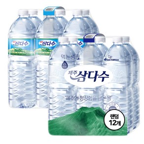 제주삼다수, 2L, 12개