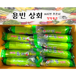 ( 용빈 상회 ) 국내산 애호박 인큐애호박 못난이 상품 (상)등급 20개, 4kg ~ 6kg, 1박스