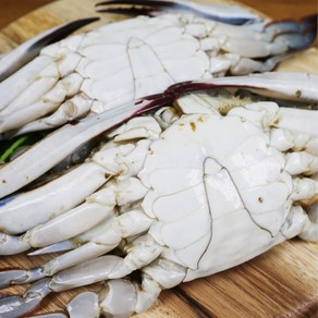 [특품] 숫꽃게 국내산 연평도 프리미엄 -45도 급냉 꽃게 살가득 [2026년 꽃게], 1박스, 급냉한 활숫꽃게 1kg (3~4미/중량우선)
