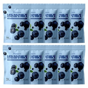 [지퍼백] 무첨가 100% 프리미엄등급 냉동블루베리, 1kg(중국), 10개