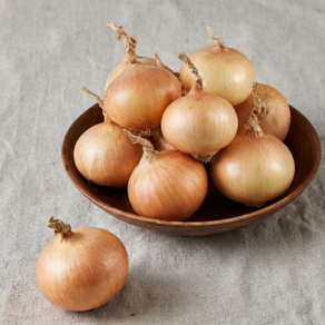 2026년 단단한 무안양파 (햇), 3kg(특상), 1개