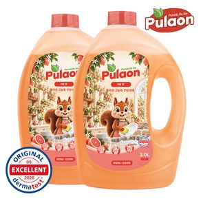 [퓨라온] 베이킹소다 초고농축 주방세제 자몽향, 3000ml, 2개