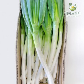 [품질보장] 수입산 우승 프리미엄 대파 깐대파 손질대파 업소용 식자재용, 10kg