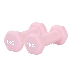 리브스포 논슬립 아령, 1kg, 2개