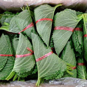 < 바른농산 > 국내산 깻잎 쌈채소 찹찹이깻잎 (1.5kg~2.5kg 내외), 1kg, 1개