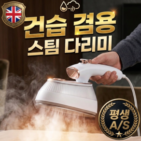 [하이엔드] 영국 2초예열 2IN1 스팀 다리미 핸디형 건습 겸용, 로얄화이트, PRO 모델