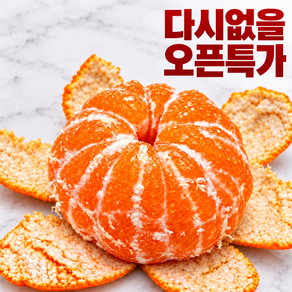 [고당도선별] 제주 귤 농장직송 감귤, 1세트, 품절임박_로얄과_5kg