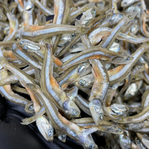 고추장 찍어 먹는 햇멸치 1.5kg