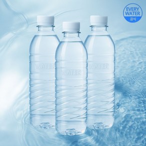 [에브리워터], 500ml, 80개