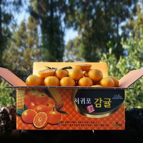 귤담원 제주 제철 감귤, 04.감귤 3kg 중대과(L/2L), 5kg, 1박스