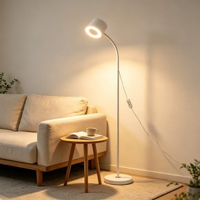 ALLILIO LED 거실 스탠드조명 KC 어댑터 무드 플로어 인테리어 장스탠드 3색모드 밝기조절 눈보호, 화이트, 1개