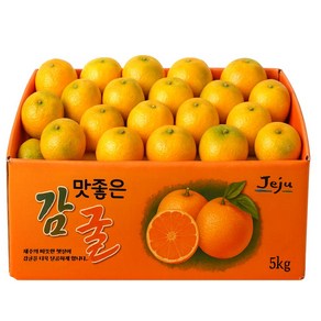 [한정특가] 산지직송 제주 노지 감귤, 5kg(2S~2L), 1박스