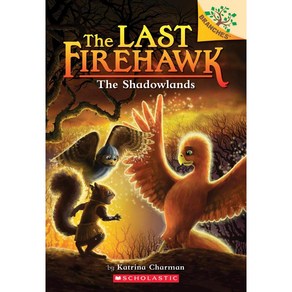 The Last Firehawk11冊英語版 Last Firehawk #11 The Underland by Katrina Charman - Linden Tree Books