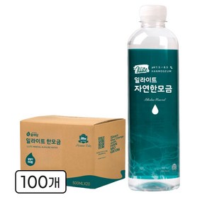 일라이트한모금 물애담 미네랄워터 알칼리수 자연한모금, 500ml, 100개