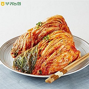 한국농협 마이산김치 국내산 포기김치, 5kg