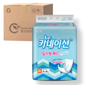 카네이션 속기저귀 일자고급형 240매 성인기저귀, 일자형, 240매입, 1박스