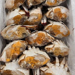 국내산 연평도 특품 급냉 절단 암꽃게, 4kg (24-40조각), 1박스