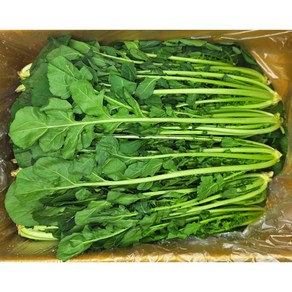 야채왕 루꼴라 로케트, 1kg