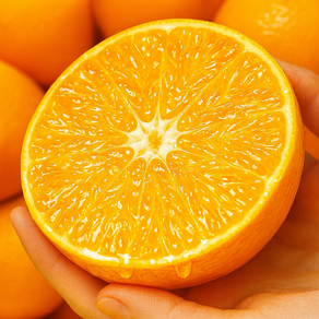 [꿀팜즈] 프리미엄 꿀당도 제주 황금향, 1박스, 2kg