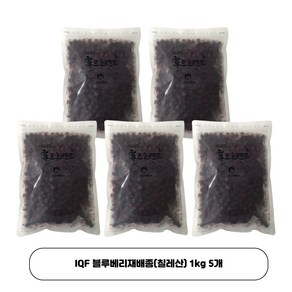 [크랍스]냉동 블루베리(칠레산) 5팩 *묶음할인* (아이스박스+드라이아이스+얼음팩 무료포장), 1kg, 5개
