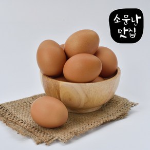 소문난맛집 무정란 계란 특란 당일산란 무항생제 HACCP인증 파손보장, 30구, 1개