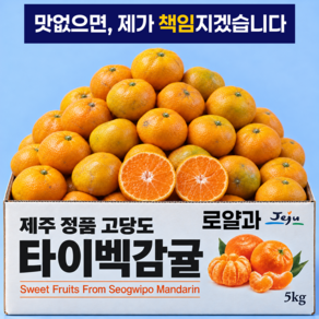 당도선별 고당도 타이벡 제주 감귤, 1박스, 선별 10kg(추천상품)
