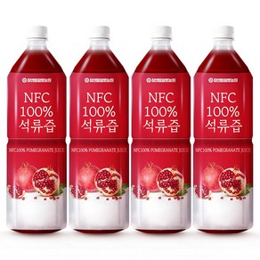 참앤들황토농원 NFC 착즙원액 석류즙, 1L, 4개