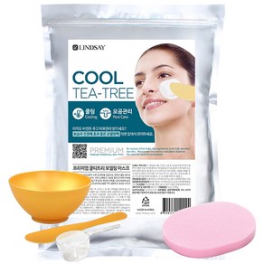린제이 프리미엄 티트리 모델링팩1kg+팩도구3종+해면, 1개입